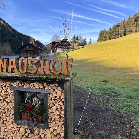 Knaushof - Rmu200 By Interhome Ramsau am Dachstein