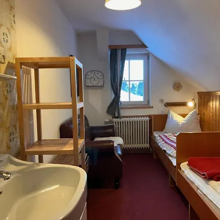 Knaushof - Rmu200 By Interhome Apartment Ramsau am Dachstein