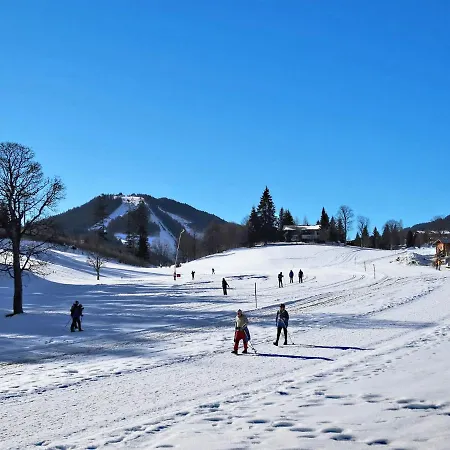 Knaushof By Interhome * Ramsau am Dachstein