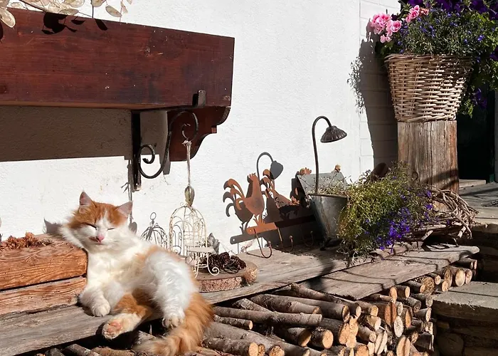 Knaushof By Interhome アパート