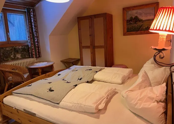 Apartmán Knaushof By Interhome Ramsau am Dachstein